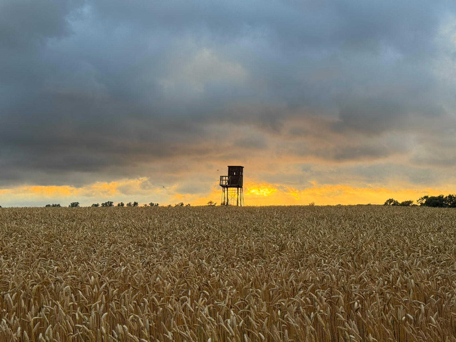 Birdwatching landscape near Klausdorf