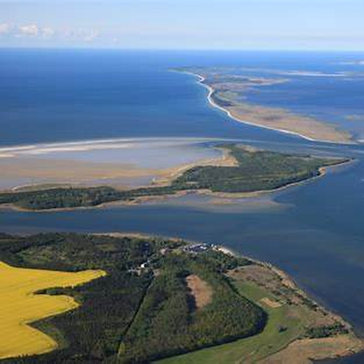 Bodden landscape near Klausdorf