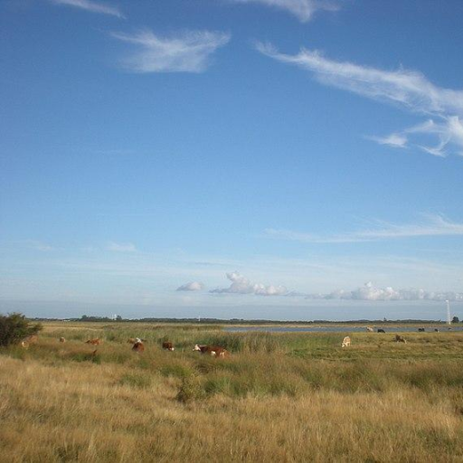 Nature near Klausdorf